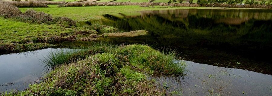 world-day-wetlands